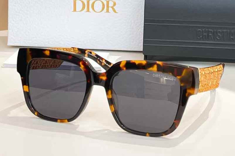 Resille S1I Sunglasses Tortoise Gray