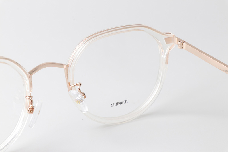 SL201 Eyeglasses Transparent Gold