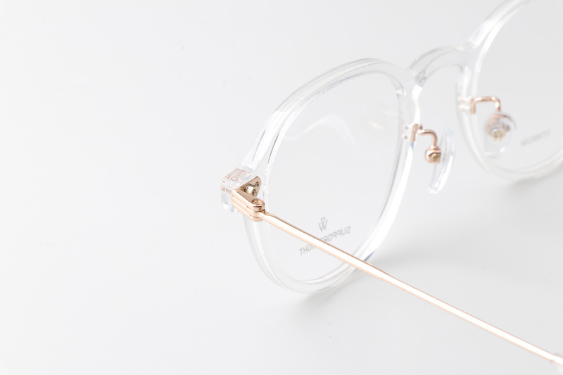 SL3010 Eyeglasses Transparent Gold