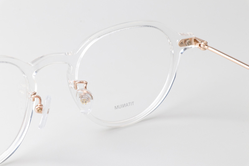 SL3010 Eyeglasses Transparent Gold