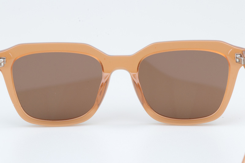 SL457 Sunglasses Brown Brown