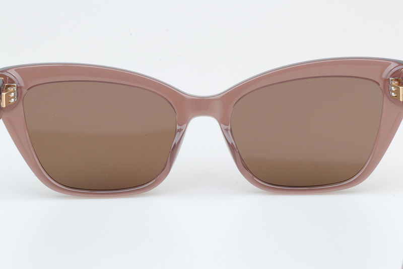 SLM117 Sunglasses Brown Brown