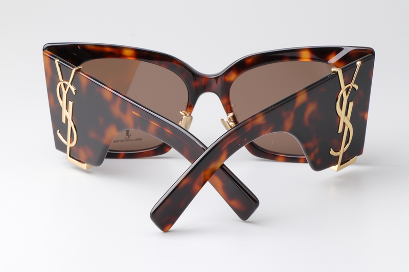 SLM119F Blaze Sunglasses Tortoise Brown