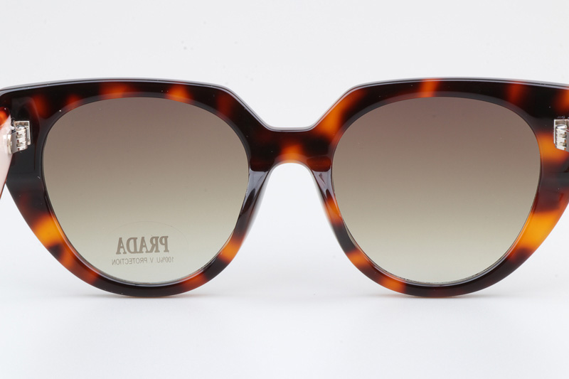 SPR14W-F Sunglasses Tortoise Cream Gradient Brown