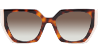 SPR15W-F Sunglasses Tortoise Cream Gradient Brown