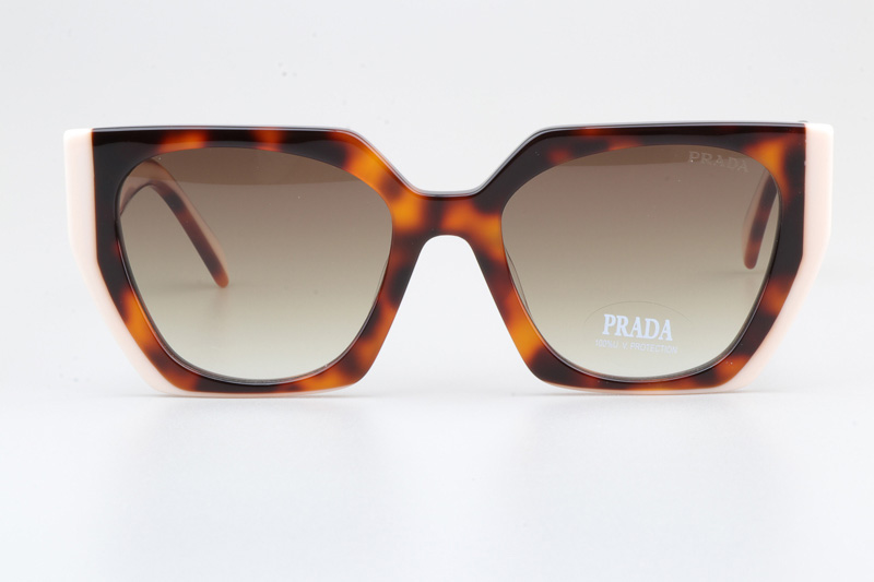 SPR15W-F Sunglasses Tortoise Cream Gradient Brown