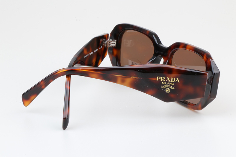 SPR17W-F Sunglasses Tortoise Brown