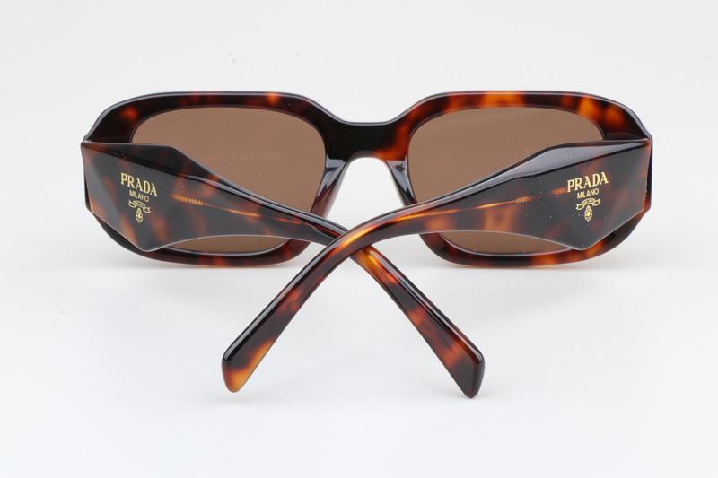 SPR17W-F Sunglasses Tortoise Brown