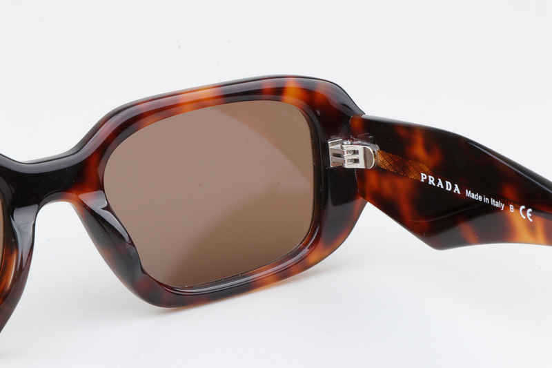 SPR17W-F Sunglasses Tortoise Brown