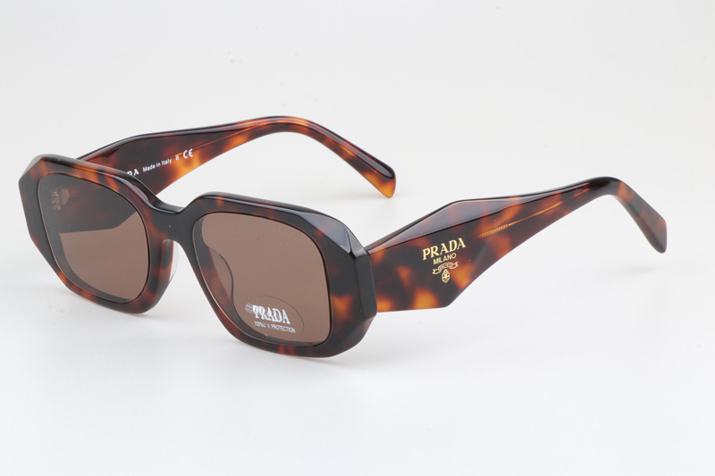 SPR17W-F Sunglasses Tortoise Brown