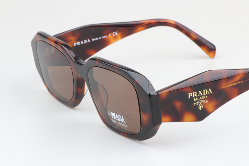 SPR17W-F Sunglasses Tortoise Brown