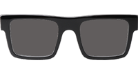 SPR19W-F Sunglasses Black Gray