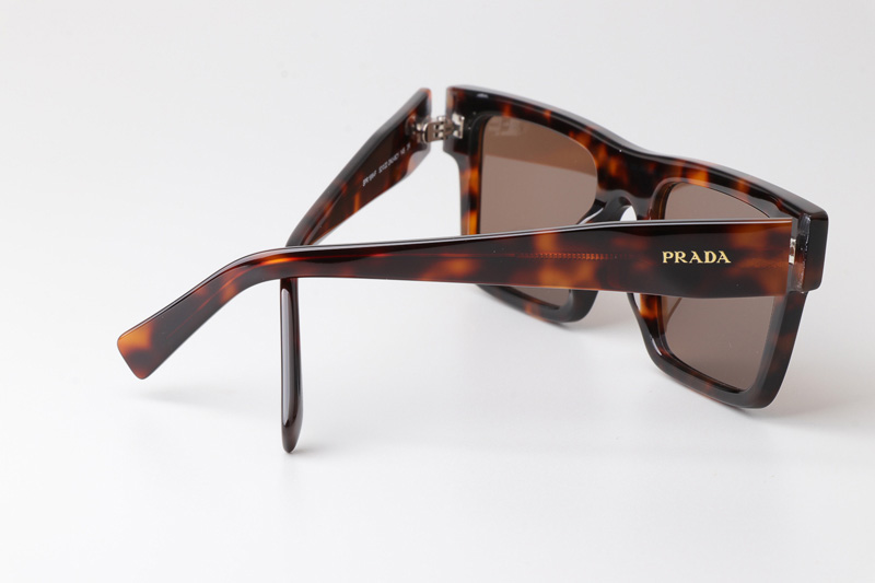 SPR19W-F Sunglasses Tortoise Brown