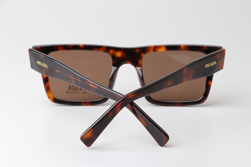 SPR19W-F Sunglasses Tortoise Brown