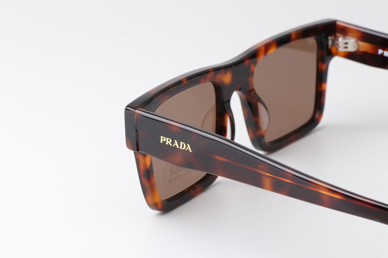 SPR19W-F Sunglasses Tortoise Brown