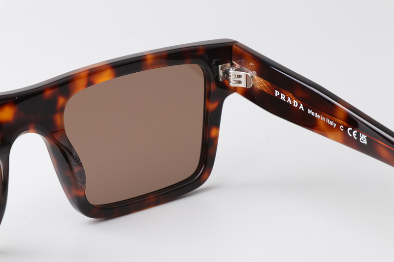 SPR19W-F Sunglasses Tortoise Brown