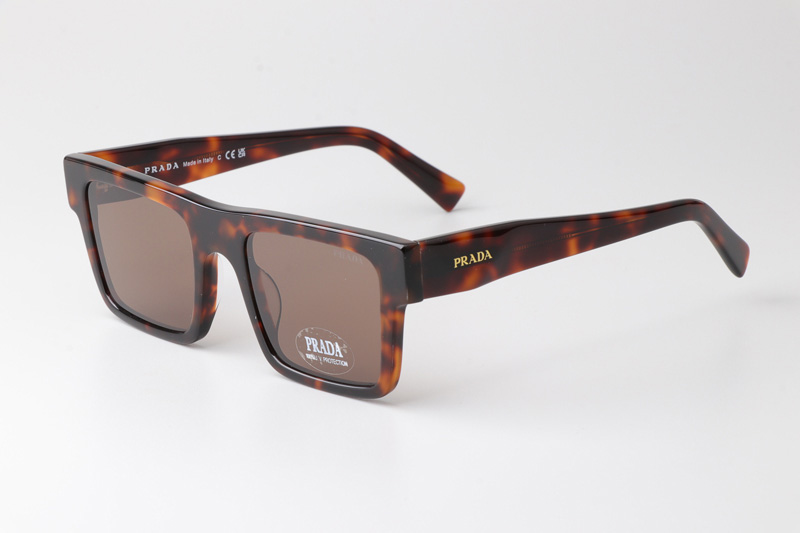 SPR19W-F Sunglasses Tortoise Brown