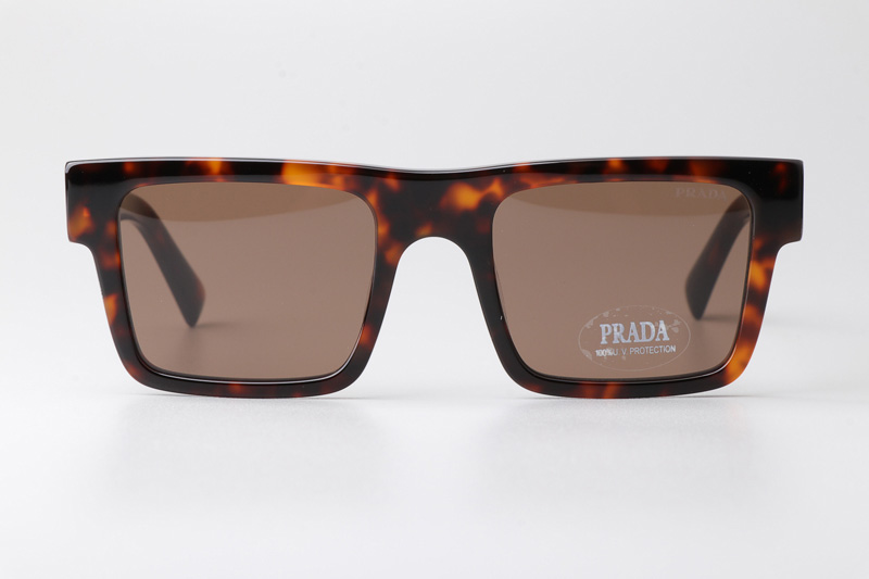 SPR19W-F Sunglasses Tortoise Brown