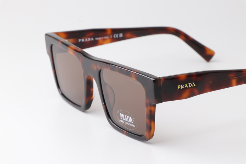 SPR19W-F Sunglasses Tortoise Brown