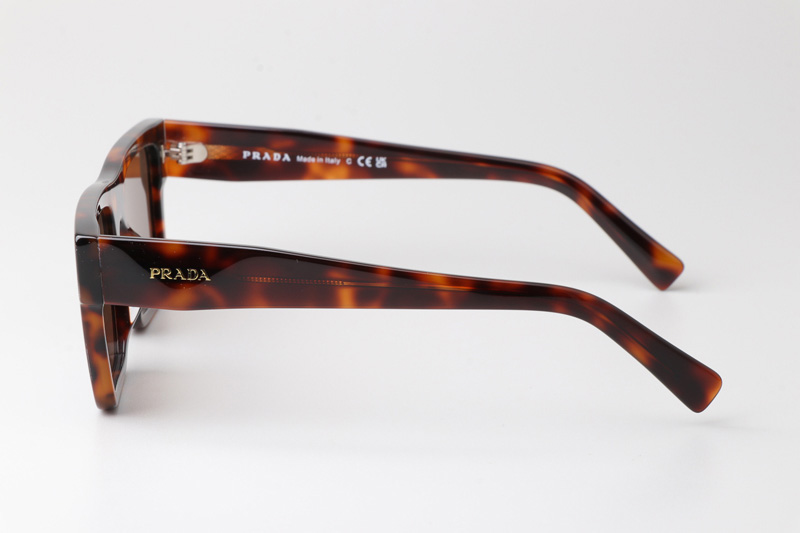 SPR19W-F Sunglasses Tortoise Brown