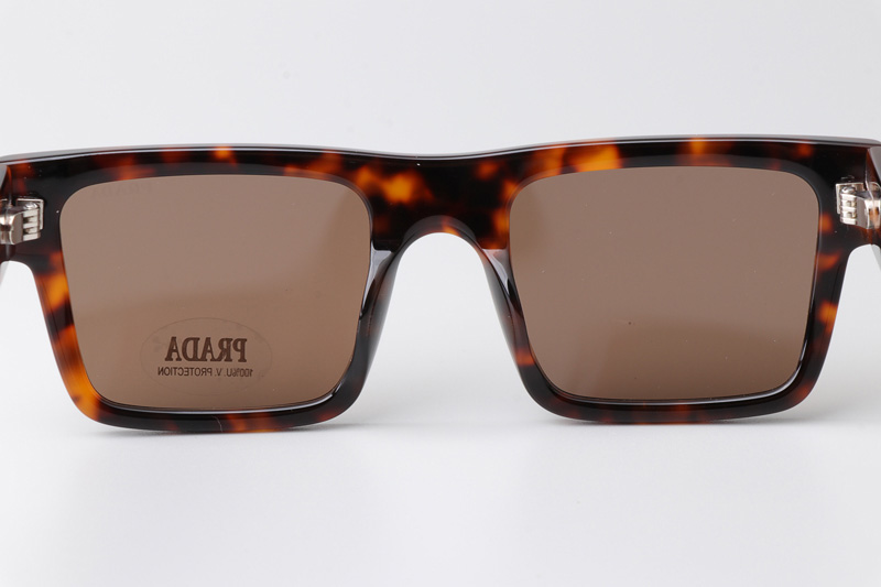 SPR19W-F Sunglasses Tortoise Brown