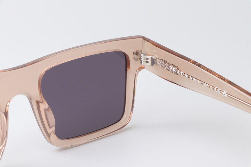 SPR19W-F Sunglasses Transparent Brown Blue