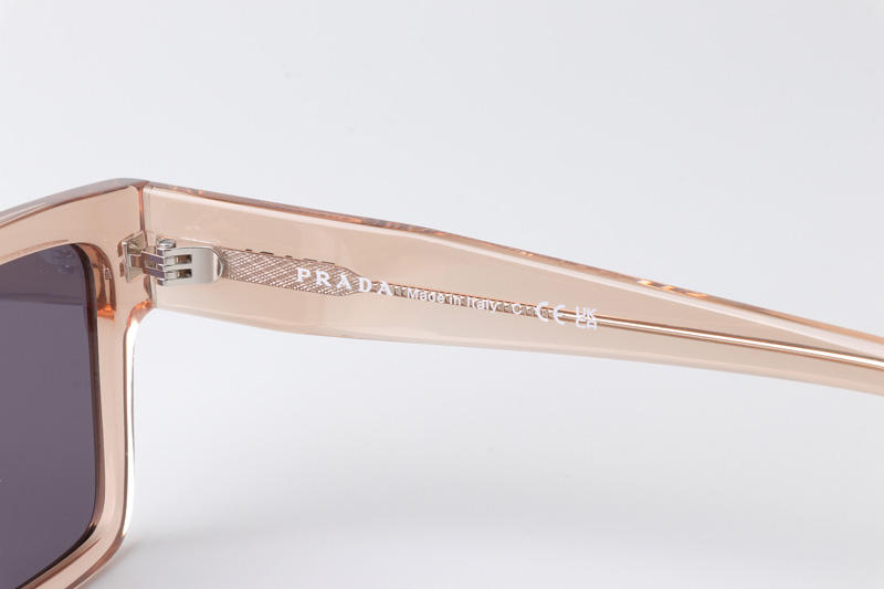 SPR19W-F Sunglasses Transparent Brown Blue