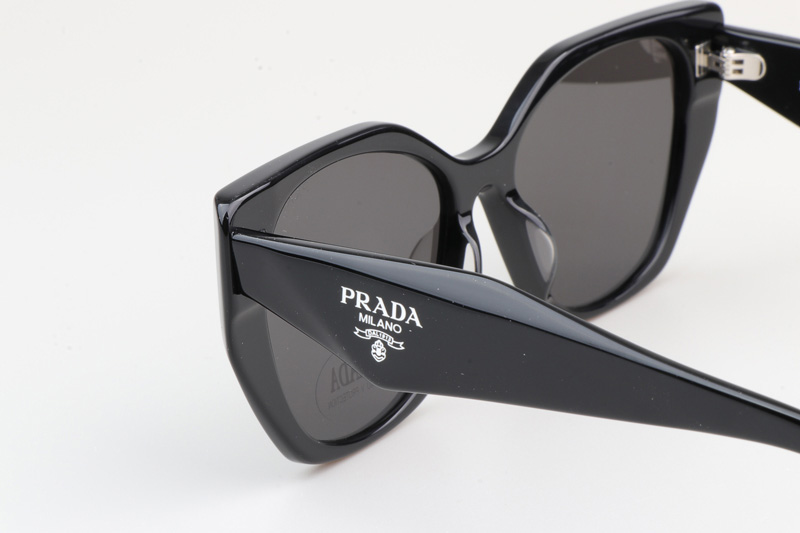 SPR19ZS Sunglasses Black Gray