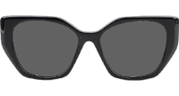 SPR19ZS Sunglasses Black Gray