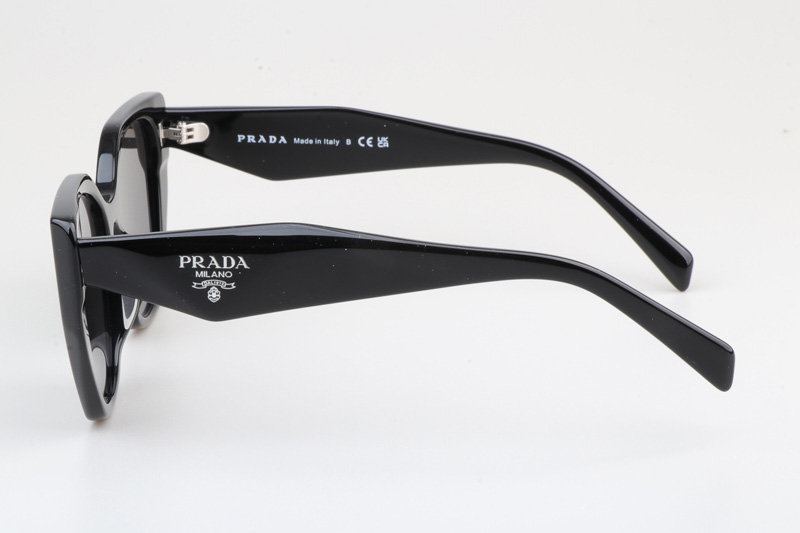 SPR19ZS Sunglasses Black Gray