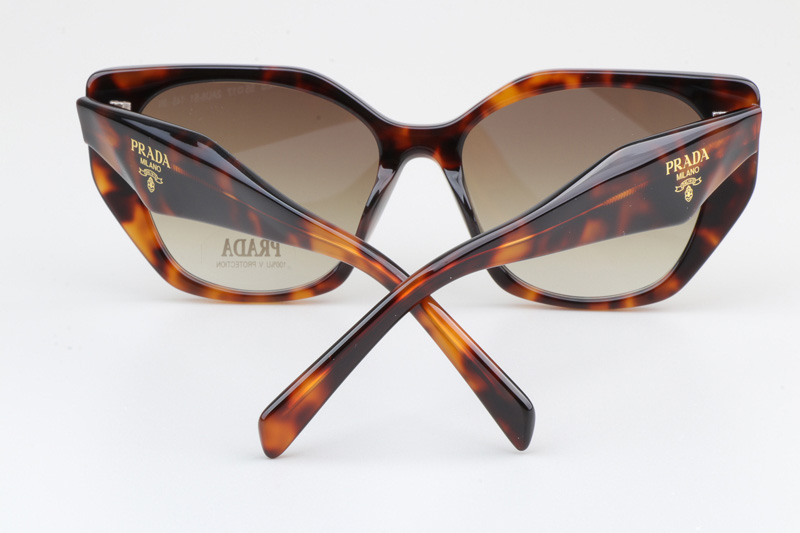 SPR19ZS Sunglasses Tortoise Gradient Brown