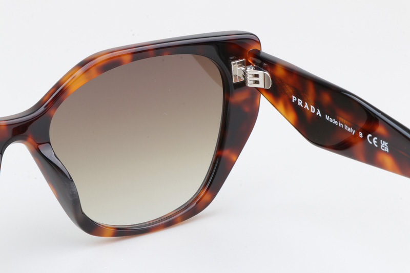 SPR19ZS Sunglasses Tortoise Gradient Brown