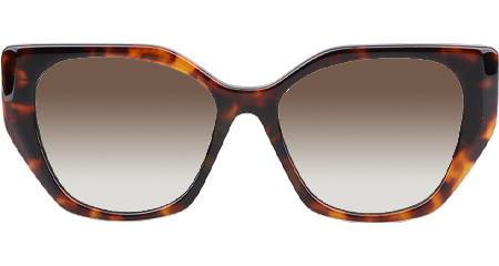 SPR19ZS Sunglasses Tortoise Gradient Brown