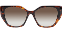 SPR19ZS Sunglasses Tortoise Gradient Brown