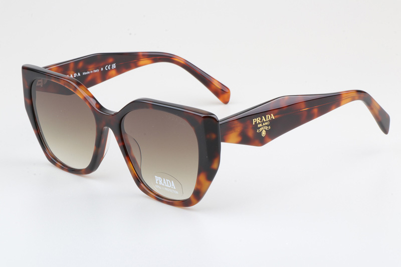 SPR19ZS Sunglasses Tortoise Gradient Brown