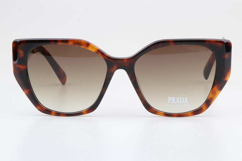 SPR19ZS Sunglasses Tortoise Gradient Brown