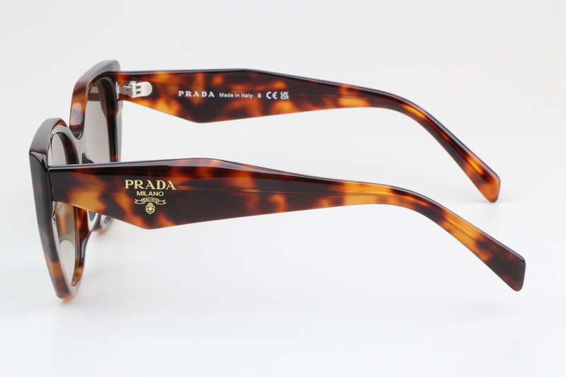 SPR19ZS Sunglasses Tortoise Gradient Brown