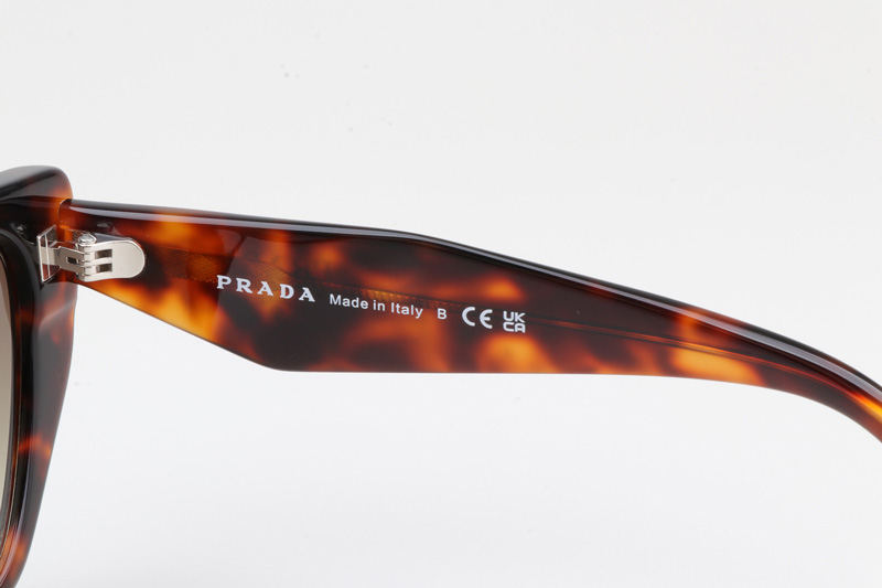 SPR19ZS Sunglasses Tortoise Gradient Brown