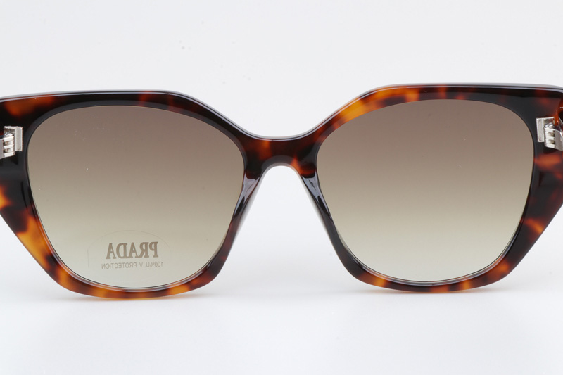 SPR19ZS Sunglasses Tortoise Gradient Brown