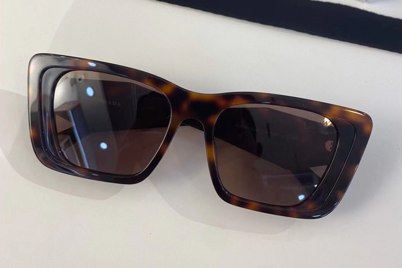 SPR 08Y-F Sunglasses In Tortoise Brown