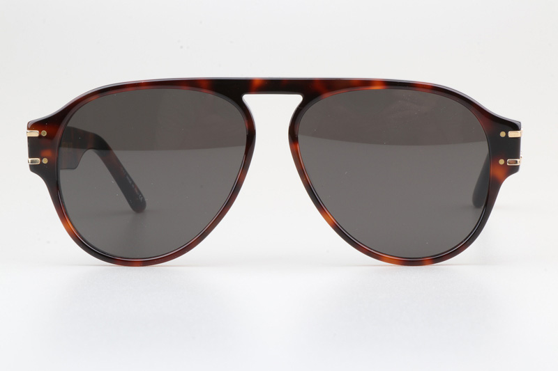 Signature A1U Sunglasses Tortoise Gray