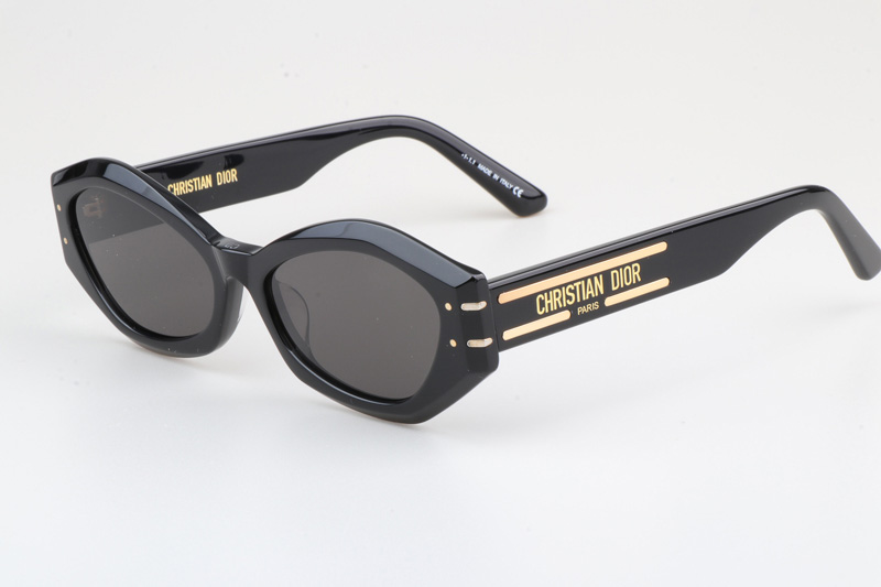 Signature B1U Sunglasses Black Gray