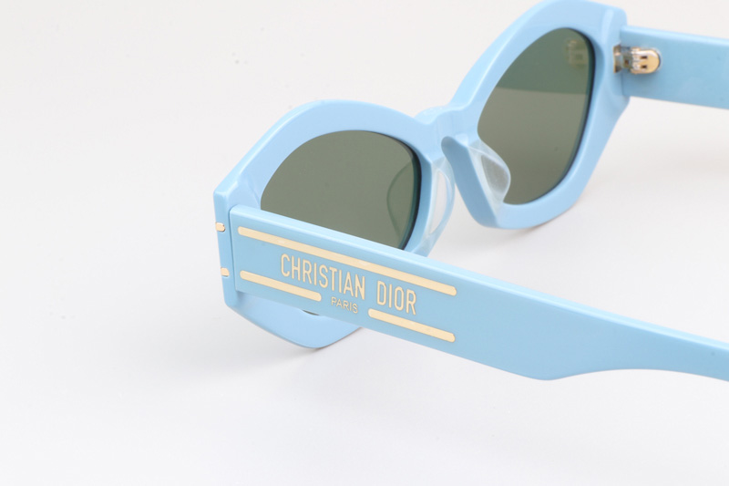 Signature B1U Sunglasses Blue Green