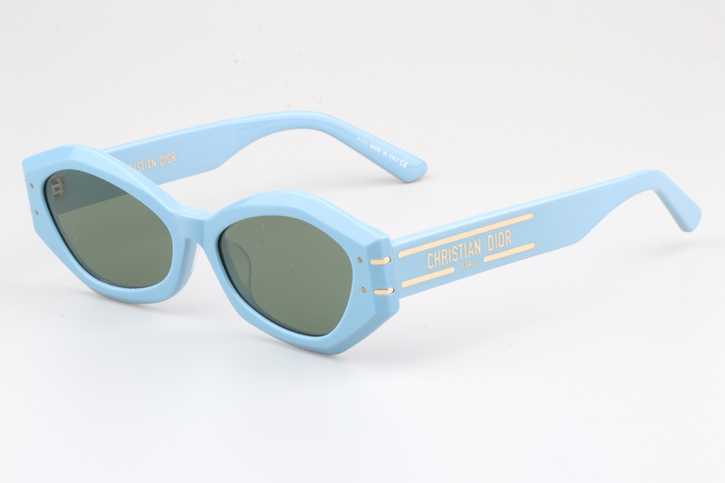 Signature B1U Sunglasses Blue Green