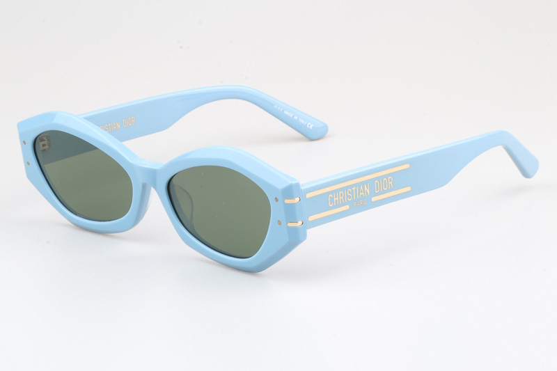 Signature B1U Sunglasses Blue Green