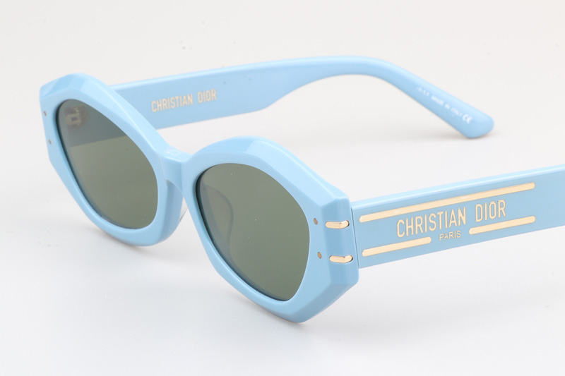 Signature B1U Sunglasses Blue Green