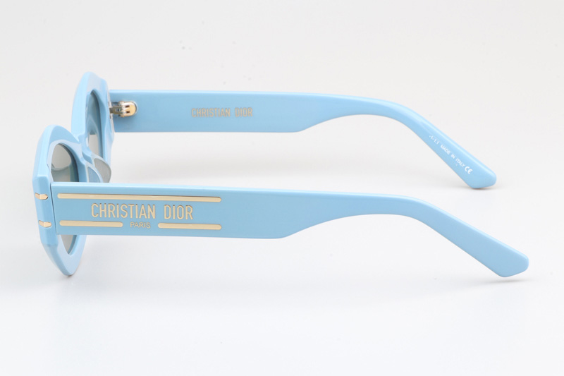 Signature B1U Sunglasses Blue Green