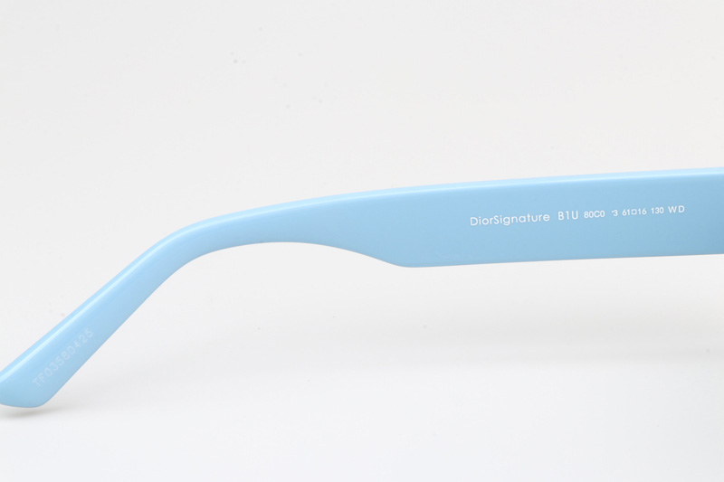 Signature B1U Sunglasses Blue Green