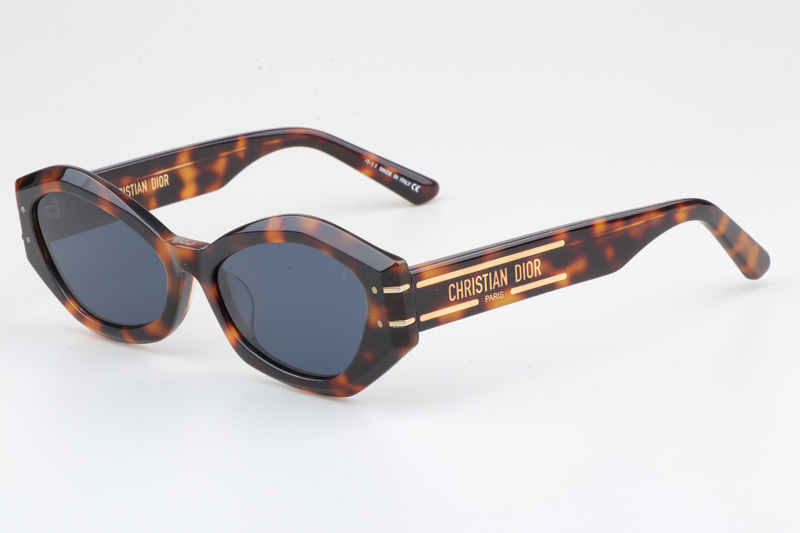 Signature B1U Sunglasses Tortoise Blue