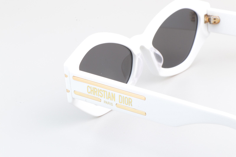 Signature B1U Sunglasses White Gray